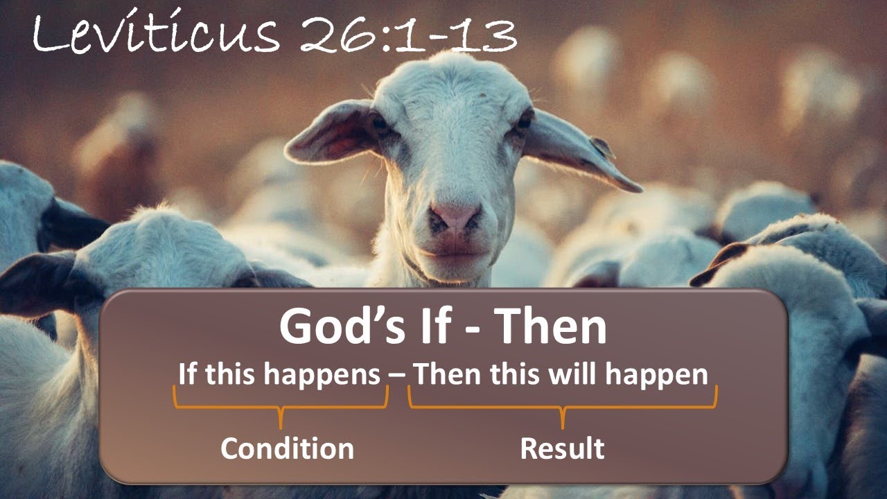 Leviticus 26:1-13: Would You Like to be Blessed by God?