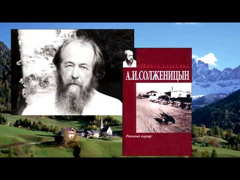 Чага - лекарство