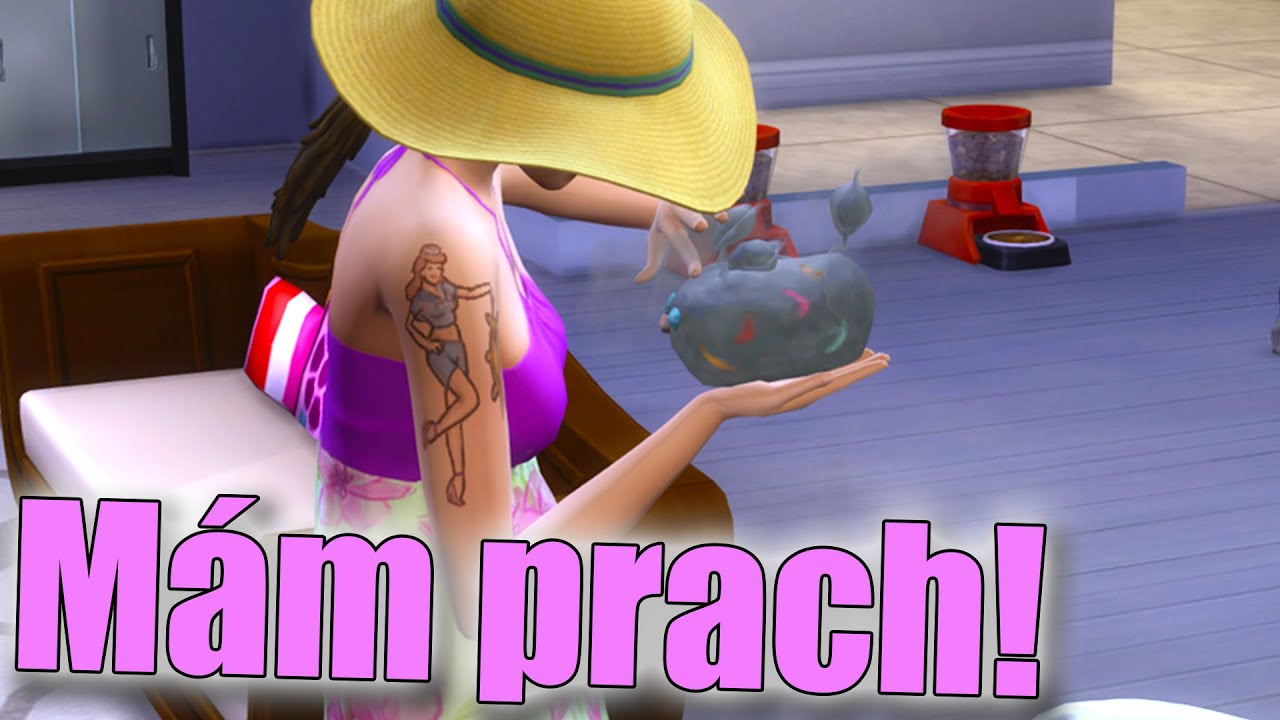 Jak se zbavit prachu v The Sims 4?