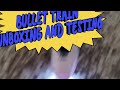 RC Bullet Train Unboxing and Testing #toys #bullettrain #cartoon #toytrain #metrotrain #gadi #rail
