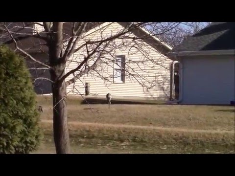 Bathroom Remodel Gone Wrong bathroom remodeled poorly. remodel gone wrong - youtube Bathroom Remodel Gone Wrong bathroom remodeled poorly. remodel gone wrong - youtube