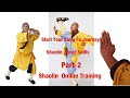 Shaolin online  kung fu skills basic skills part  02