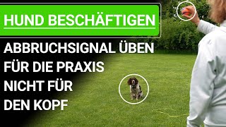 🐶 Hund beschäftigen ➡️ Abbruchsignal üben für die Praxis nicht für den Kopf ➡️ Praxisvideo 🐶✔️ by Stephanie Salostowitz - Online Hundetraining 7,104 views 11 days ago 24 minutes