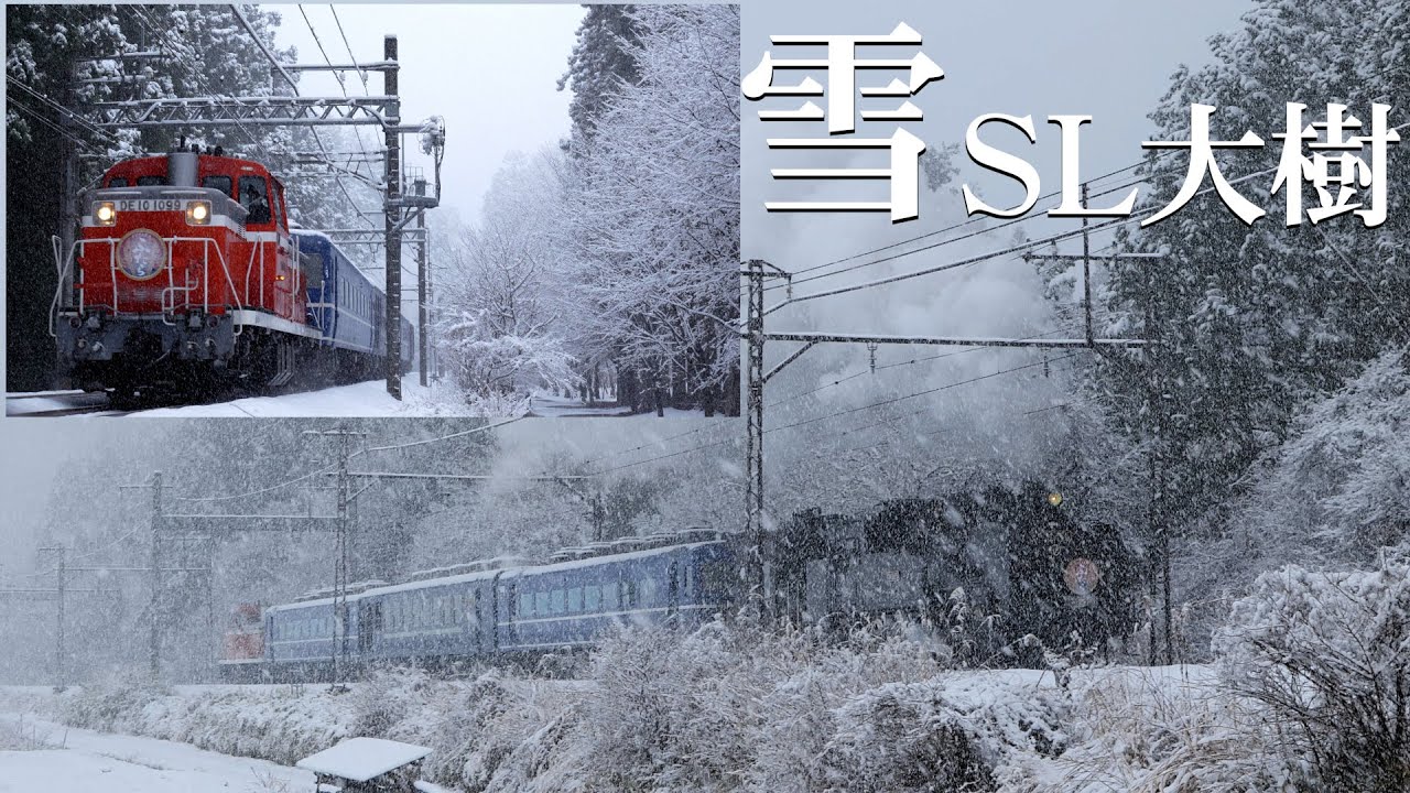 旧国鉄？　サボ　大雪 サボ 愛称板 急行「大雪」: マル鉄コレクション館