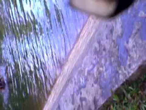 Cewek-mandi-di-danau-dingin-tanpa-baju-telanjang-l MP3 Music Download