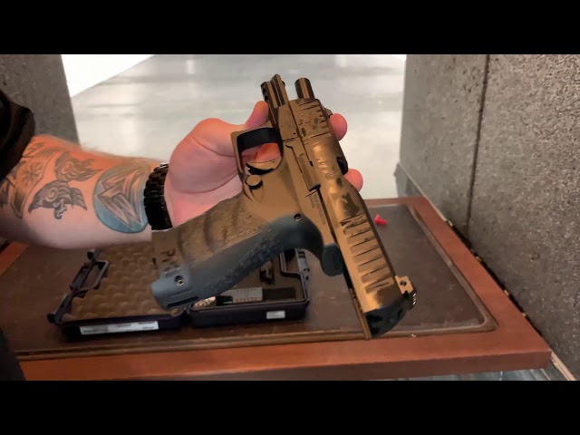 Range Gun - Walther PPQ M2 9mm