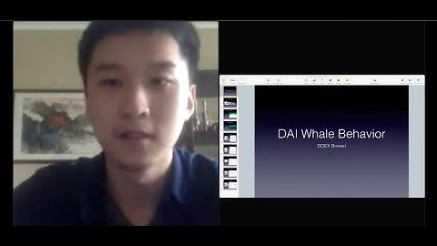 DDEX: How To Use On-Chain Data & APIs To Track & Understand Whale Behavior