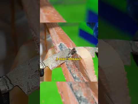 🐟 Почему разгрузка тунца — это смертельно опасно? #шортс