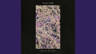 everything works out - Project AER
