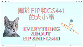 關於FIP貓傳染性腹膜炎和GS441的一切 [by Zenya]