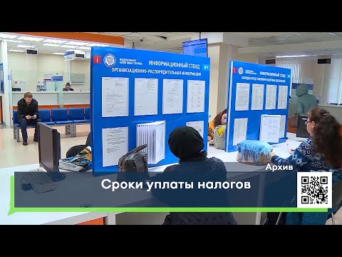 Сроки уплаты налогов в 2021 году
