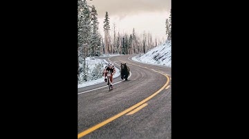 Reverse Image Search Tutorial