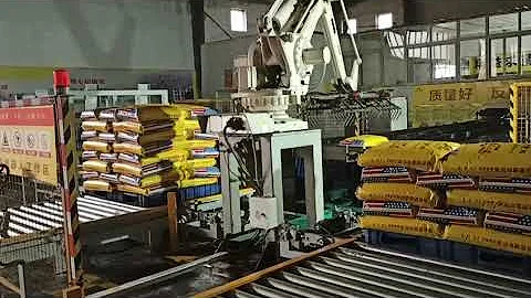 ABB Robot Palletizing System for Bag Robot Palletizer with 2 Pallets