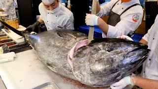 1000인분! 거대한 참다랑어 컷팅 달인. 180kg 참치 해체쇼. / 1000 servings! Amazing Giant bluefin tuna cutting Master.