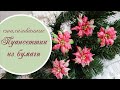 Пуансеттия из бумаги стилизованная/ Paper poinsettia tutorial