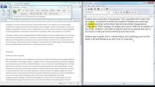 Translating with Dragon NaturallySpeaking