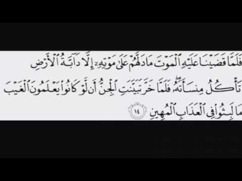 القراءات الدوري و حفص