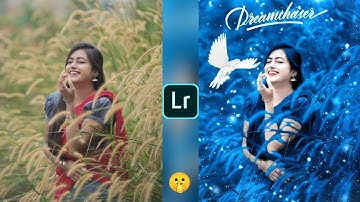 Lightroom blue and bird effect photo editing tutorial | Lightroom background colour change 🤫