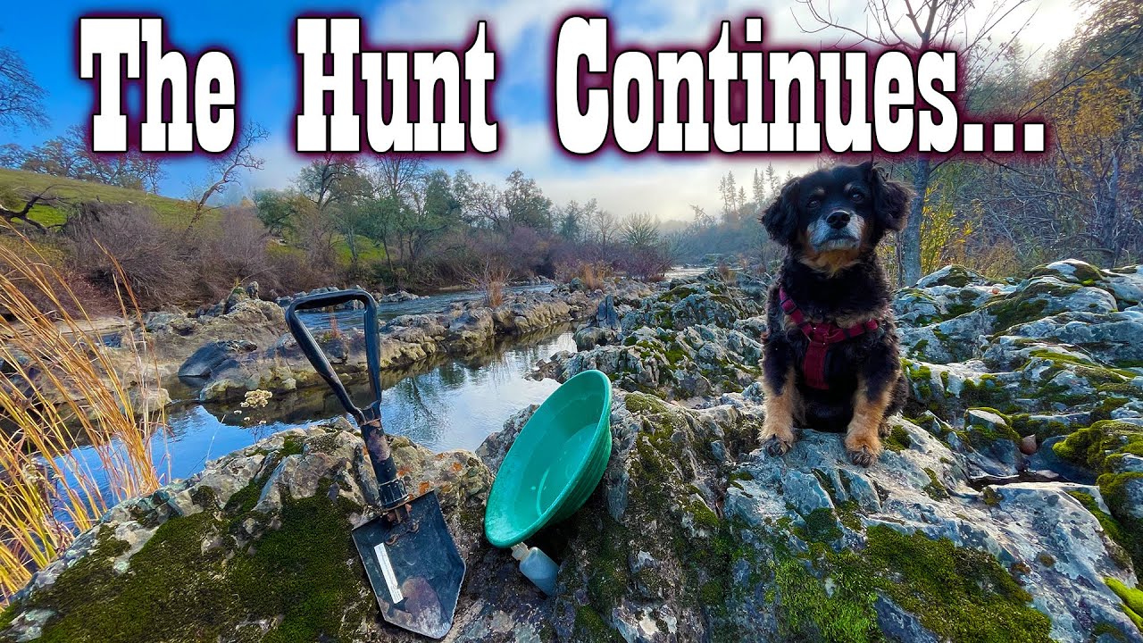 Золото или провал? Исследование другой реки Калифорнии.