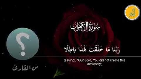 الشيخ علي حجاج السويسي . سورة آل عمران