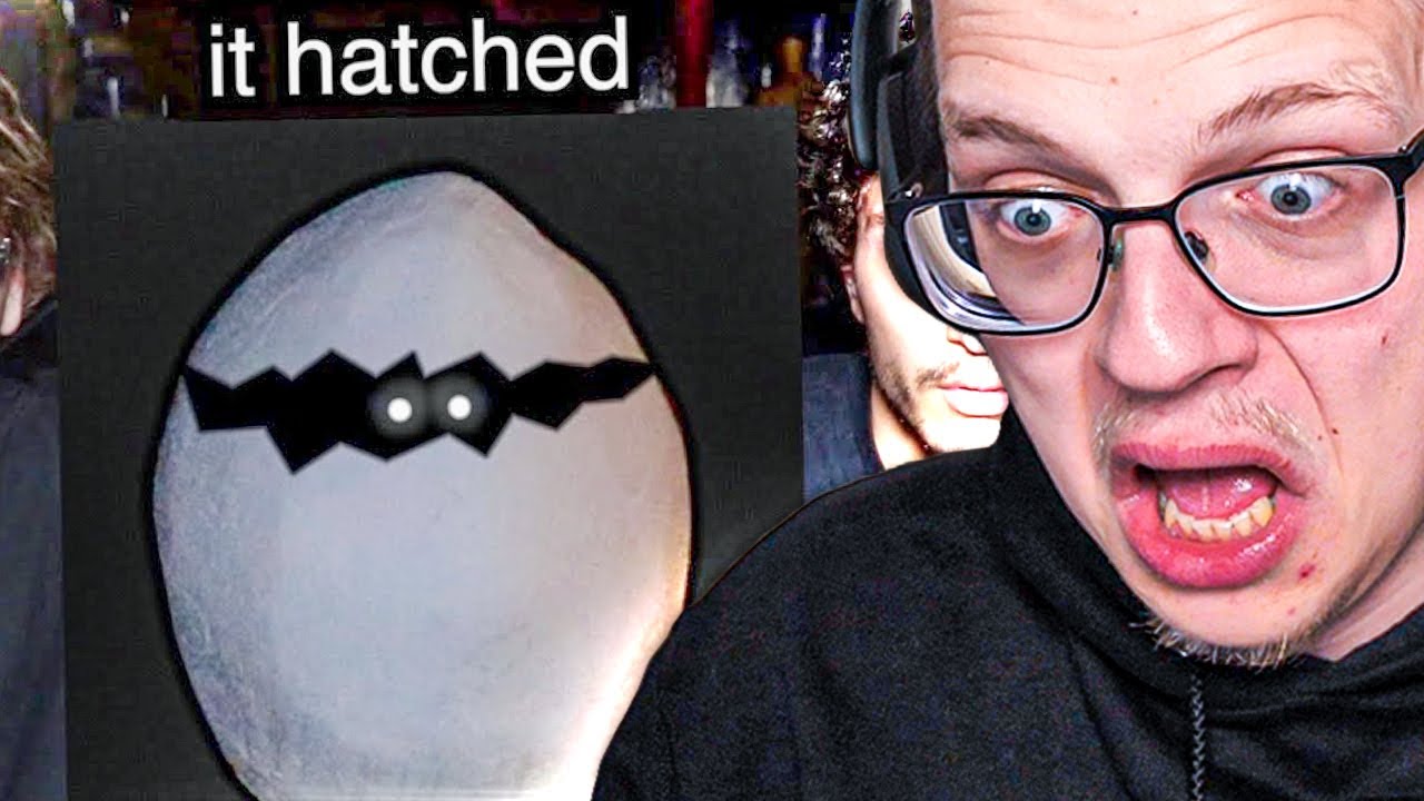 ZE KOCHTEN EEN EI op de DARK WEB... (REAGEREN OP LUXURY DARK)