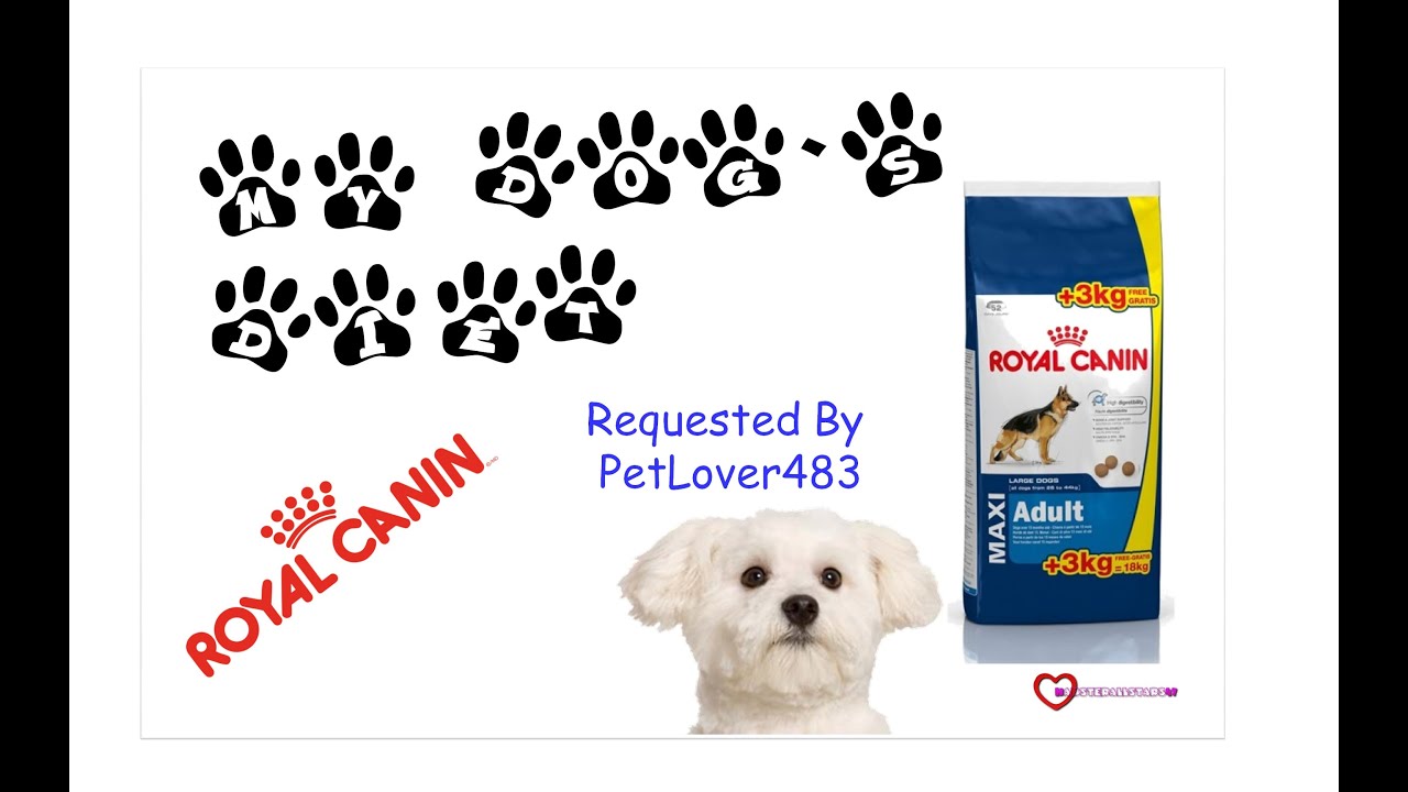 My Dog`s Diet Requested by PetLover438 - YouTube