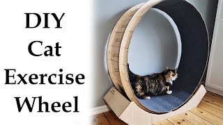 Make a Cat Exercise Wheel