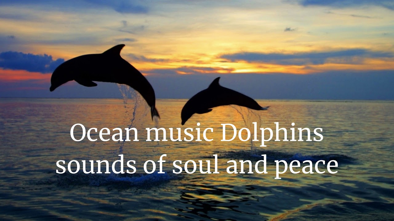 Ocean music Dolphins sounds of soul and peace