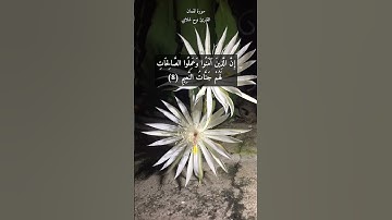 آية ٨ "إن الذين آمنوا وعملوا الصالحات لهم جنات النعيم" من سورة لقمان