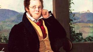 "Über Wildemann" -- Franz Schubert -- Kyle Ferrill & Tomasz Lis