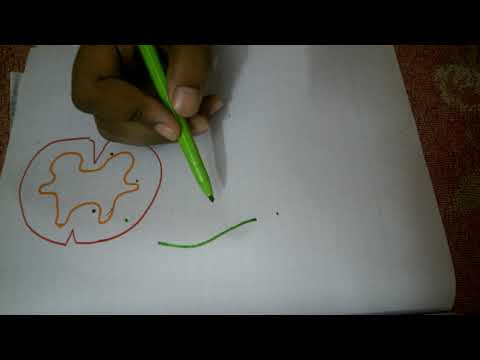 common spinal nerve part 1