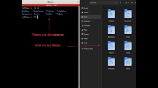 What is a Linux Directory