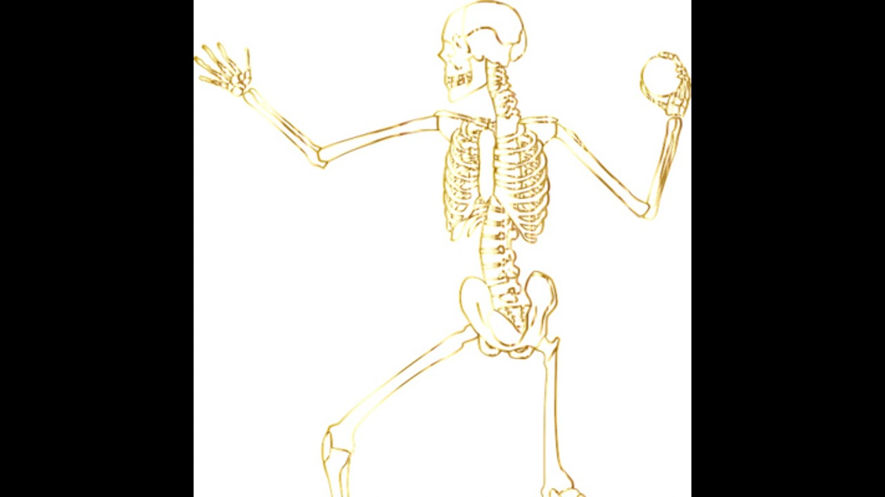 Mantra#14 Is Milk synonymous with Calcium?