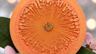 #500 Apricot Heavy Web Effect Tutorial in Epoxy Resin