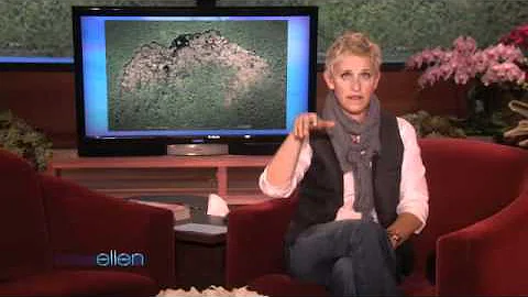 Ellen Gets the Details on the World's Largest Beav...