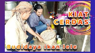 PAKAN ALTERNATIF IKAN LELE Murah Meriah Hasil Melimpah !!!