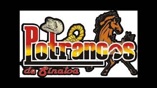 Versión 1 del video