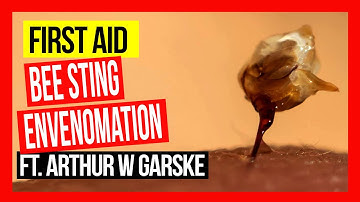 First Aid Bee Sting Envenomation ft Arthur W Garske ABA of NSW Field Day 2019