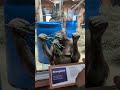 The #chimpanzee #family #funny #laughingvideo #lol #laugh #funnyshorts #comedy #zoo #animalvideos