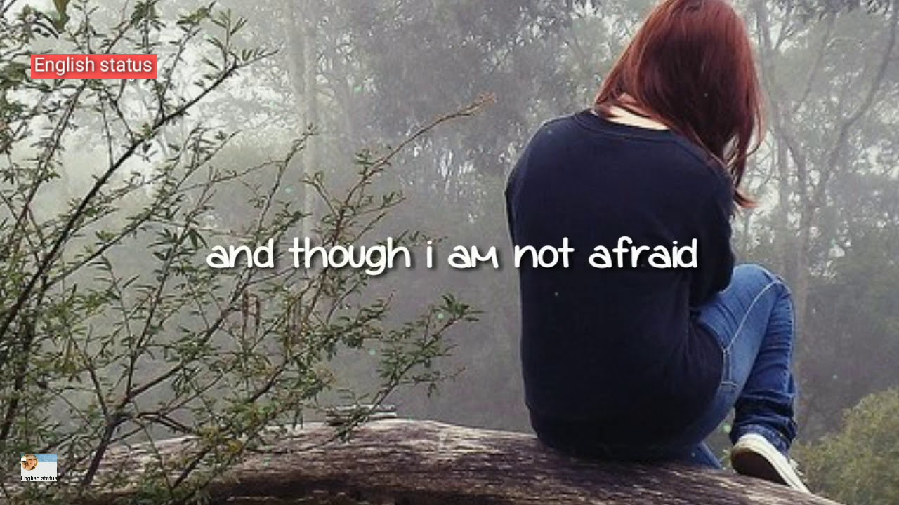 New Best English song ringtone whatsapp status Hollywood love romantic