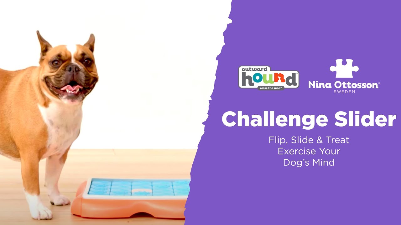 NINA OTTOSSON BY OUTWARD HOUND Challenge Slider Dog Toy, Blue & Orange 