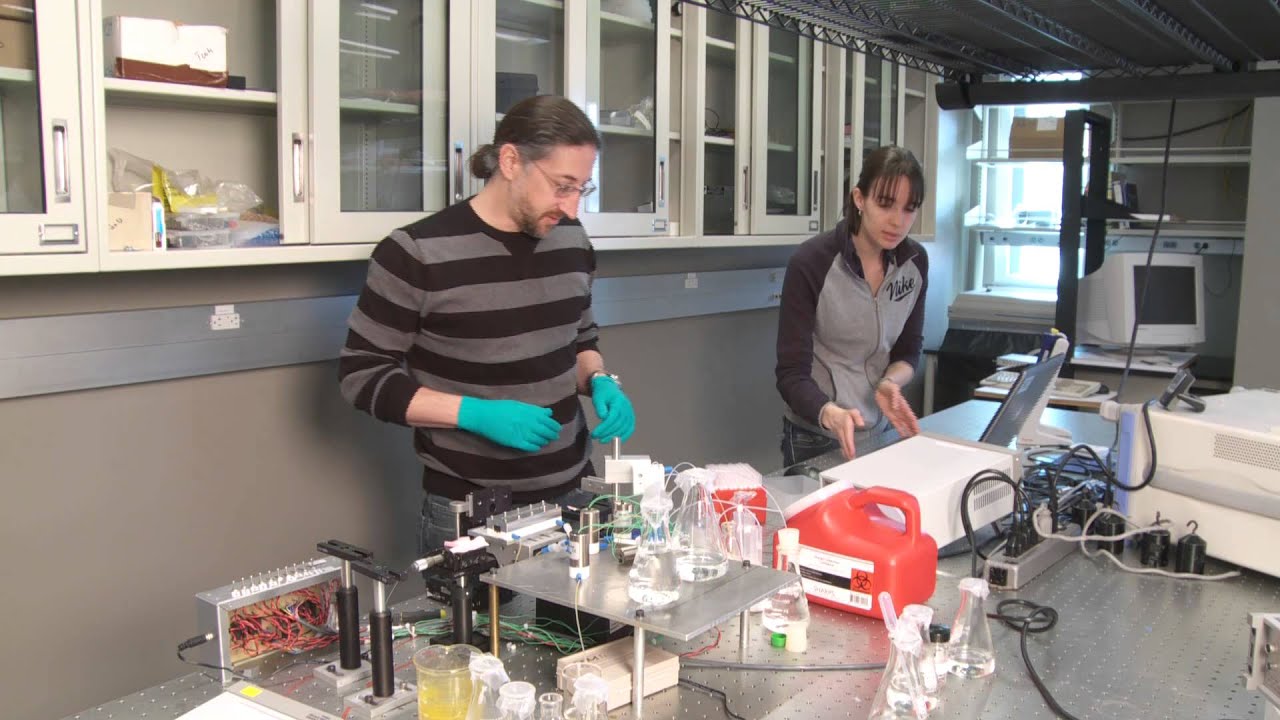 polytechnic institute of new york Virginia Tech: Diagnostic Discovery