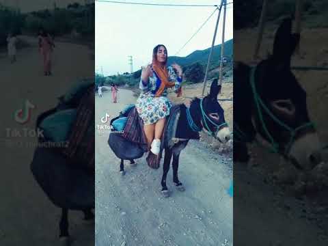 بنت تتغزل في حمار
