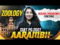 CUET PG Zoology 2027 | CUET PG Zoology Nucleus, Peroxisomes - functions | CUET PG Zoology