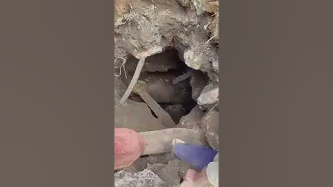 Khai thác đá quý #ruby #xuhuong #chatchem #daquytunhien #sapphire #spinel #xuhuongyoutobe #gems