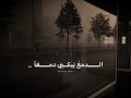 إلى اللقاء يا اعز العابرين في عمري 