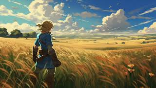 The Legend of Zelda Tears of the Kingdom Background Music