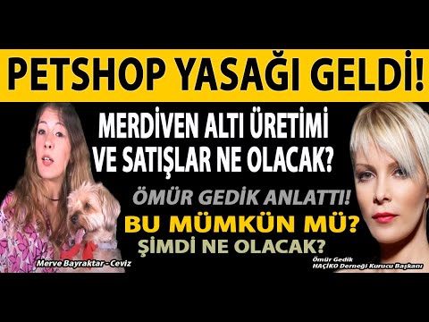 PETSHOP YASAĞI GELDİ! MERDİVEN ALTI ÜRETİMİ VE SATIŞLAR NE OLACAK? ÖMÜR GEDİK ANLATTI! BU MÜMKÜN MÜ?