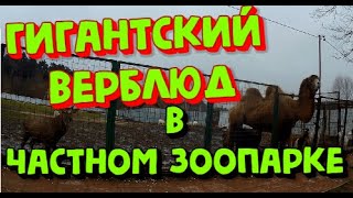 База отдыха ТРОИЦКОЕ. Частный ЗООПАРК