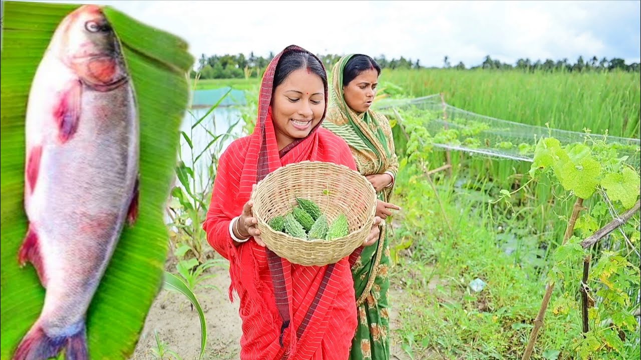 4কেজি ওজনের সিলভার মাছ কেটে তেলঝাল রান্না করলাম সাথে পুরভরা করোলা রেসিপি